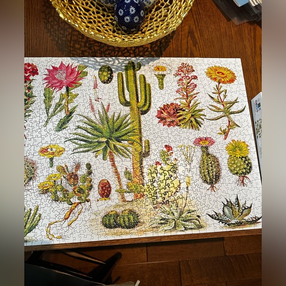 🧩 EUC New York Puzzle Company 1000 pc Jigsaw Puzzle- ‘Cacti - Cactus’ - Picture 4 of 7